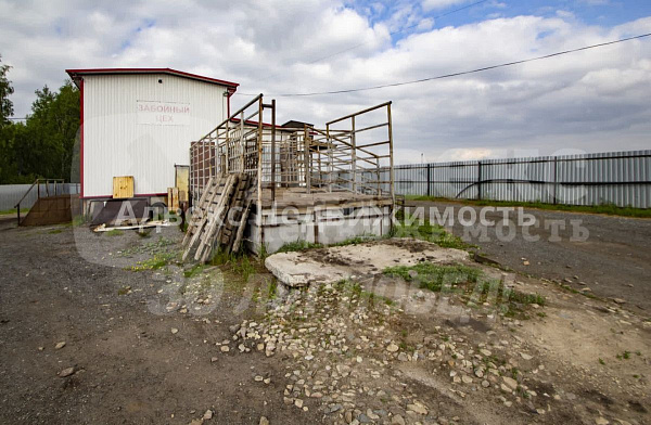 Бизнес-центр, 127 кв.м.