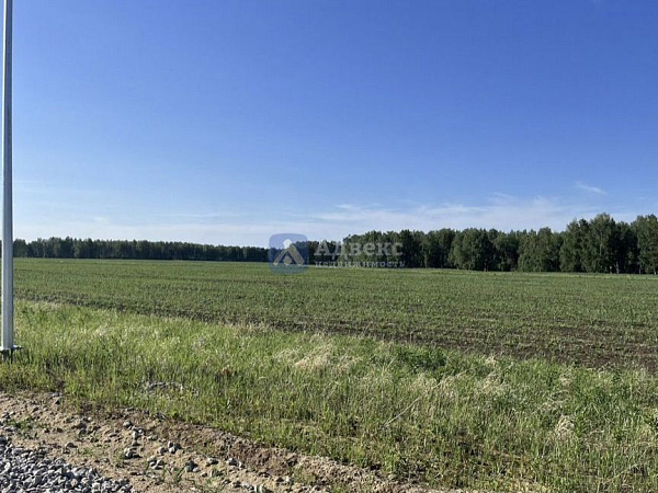 Участок, 30 сот.