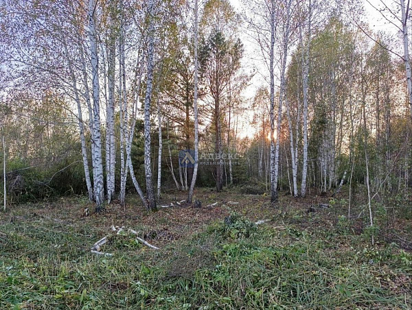 Участок 10 сот. 