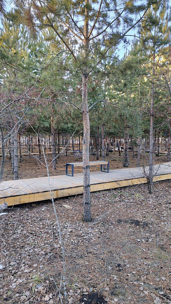 Квартира 2-комн., 48.35 м²