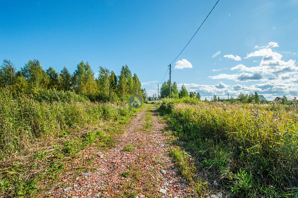 Участок, 10 сот. Участок, 10 сот.