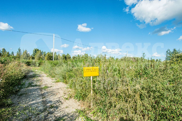 Участок, 10 сот.