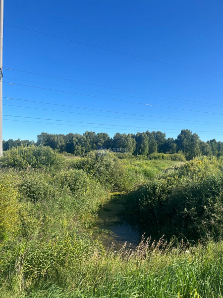 Участок 5 сот.