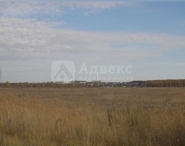 Участок 54 сот.