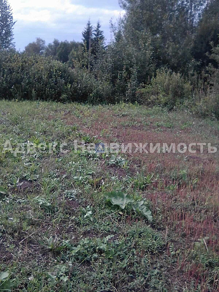 Участок 7.84 сот.