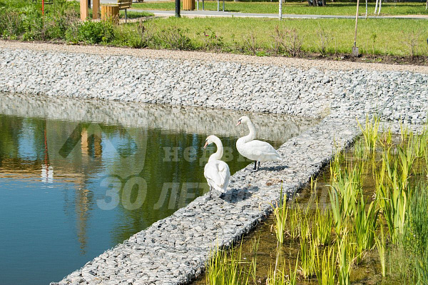 2-к квартира, 81 кв.м.