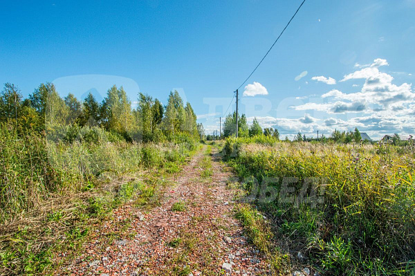 Участок 10 сот.