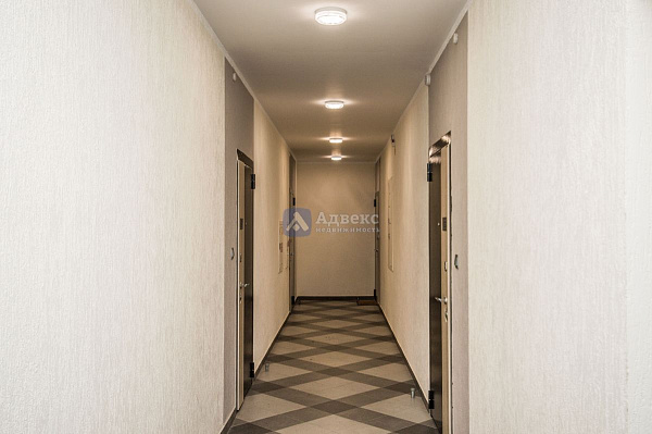 Квартира студия, 24 м²