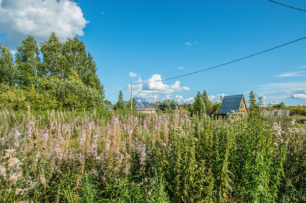 Участок, 10 сот. Участок, 10 сот.