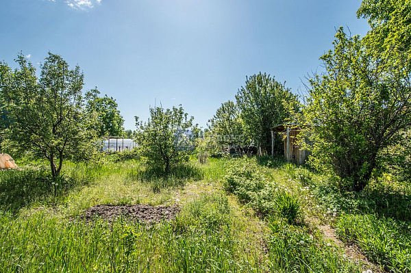 Участок, 8 сот.