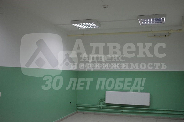 Бизнес-центр, 210 кв.м.