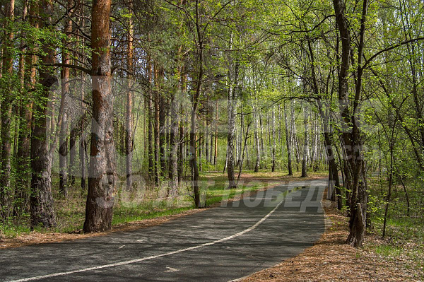 1-к квартира, 47 кв.м.