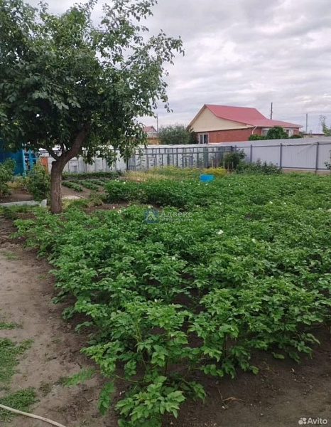 Дом 251.3 м²