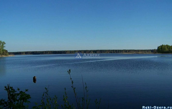 3-к квартира, 52 кв.м.