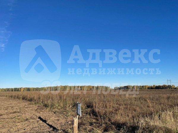 Участок 6.2 сот. 