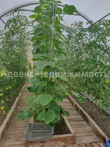 Дача/Коттедж, 41 кв.м. Дача/Коттедж, 41 кв.м.