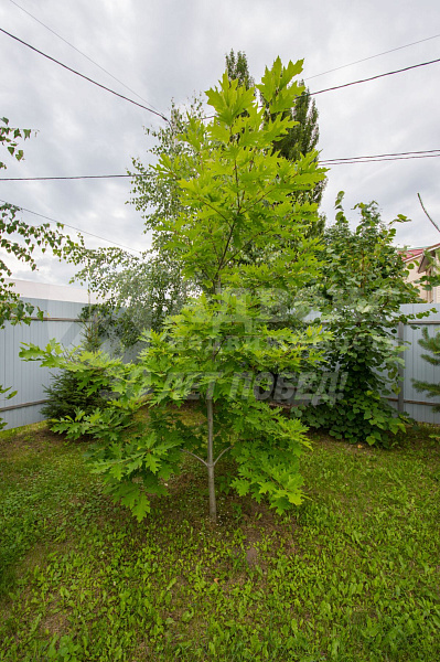 Участок 13.5 сот.