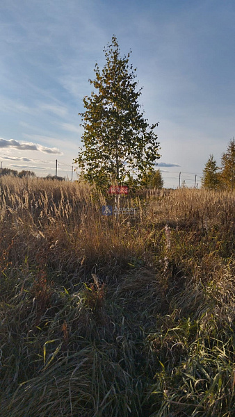 Участок 18.9 сот.