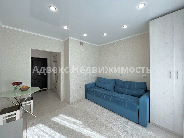 Квартира студия, 23.7 м²