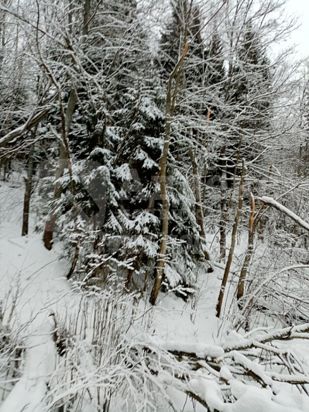 Участок 12.5 сот. 