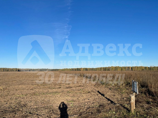 Участок 6.2 сот.