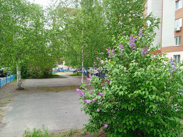 3-к квартира, 63 кв.м. 3-к квартира, 63 кв.м.