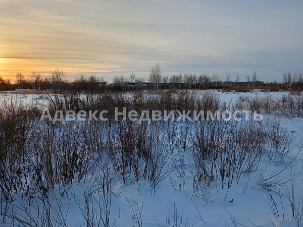 Участок 220 сот. 