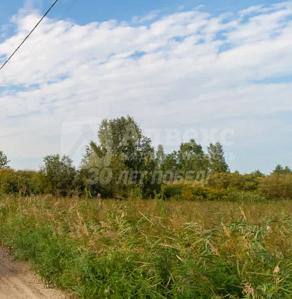 Участок, 10 сот.
