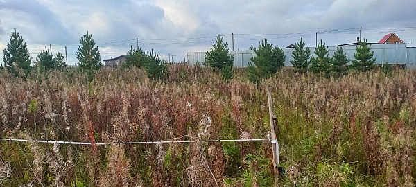 Участок, 6 сот.