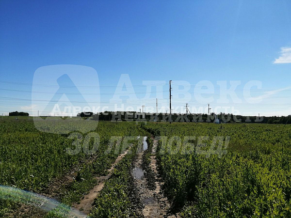 Участок 8.36 сот.