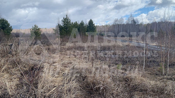 Участок, 11.29 сот.