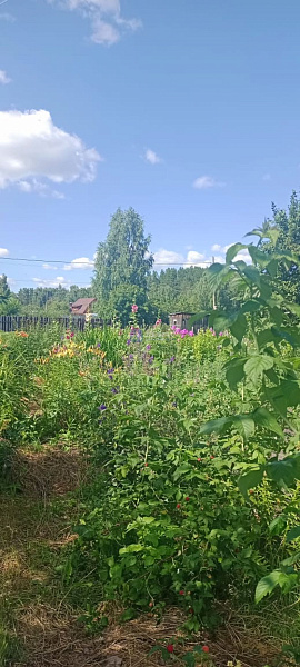 Участок 13.5 сот.