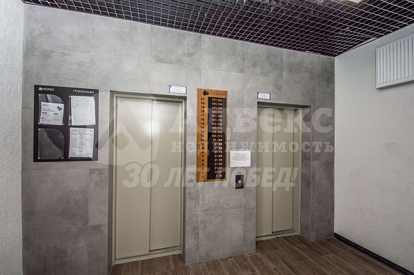 Студия, 24 кв.м.