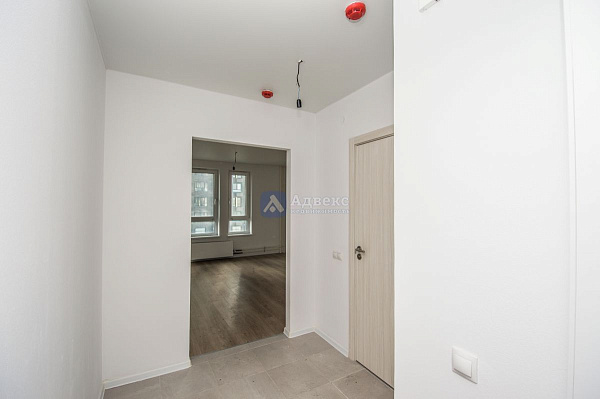 Квартира студия, 24.6 м²