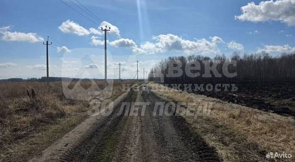 Участок, 300 сот.