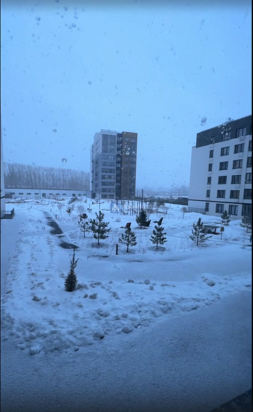 Квартира 3-комн., 83.1 м²