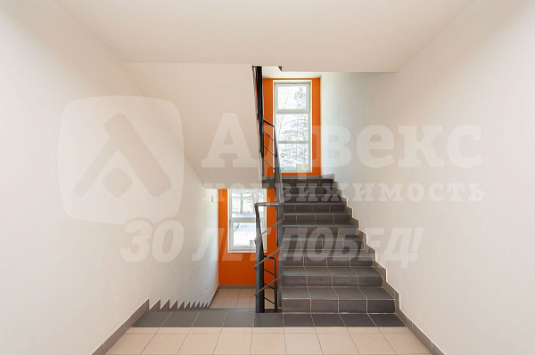 Студия, 24 кв.м.