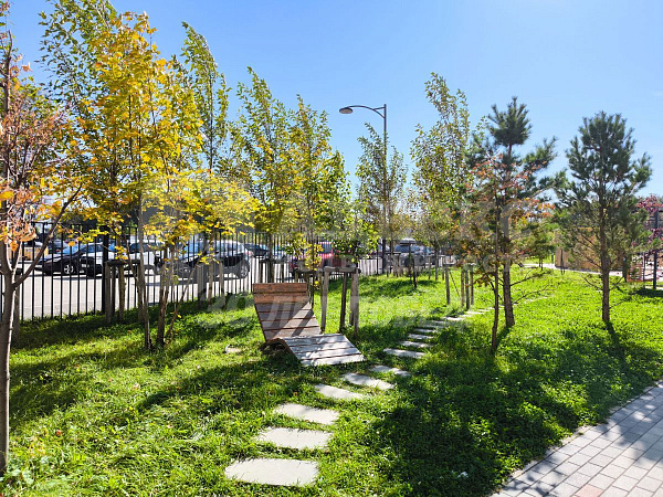 Квартира 1-комн., 36 м²