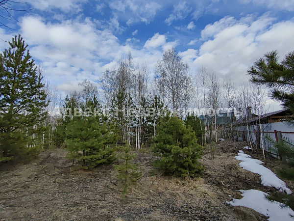Участок 14.5 сот.