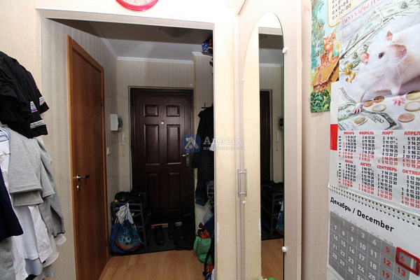 Студия, 17 кв.м.