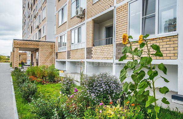 Квартира студия, 19.7 м²
