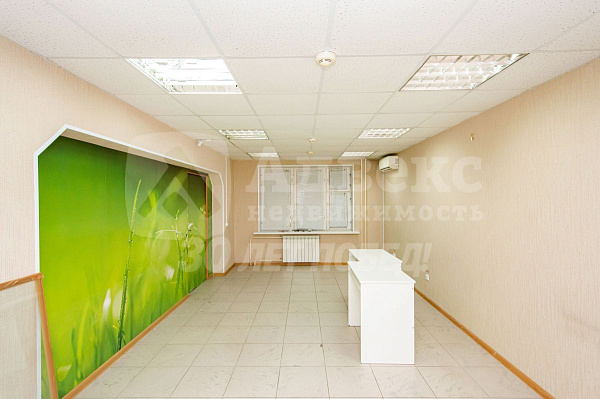 Офисные помещения 74.7 м²