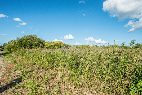 Участок 10 сот.