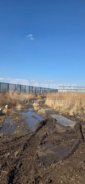 Коммерческая земля 55 сот.