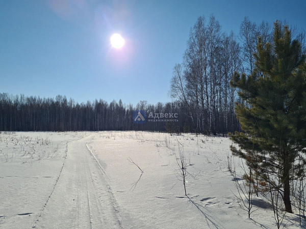 Участок, 5.83 сот. Участок, 5.83 сот.
