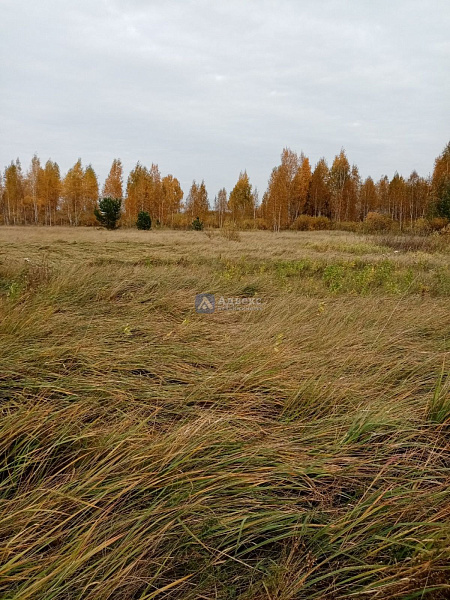 Участок 18.9 сот.