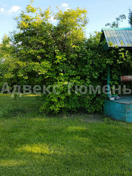 Дом 24 м²