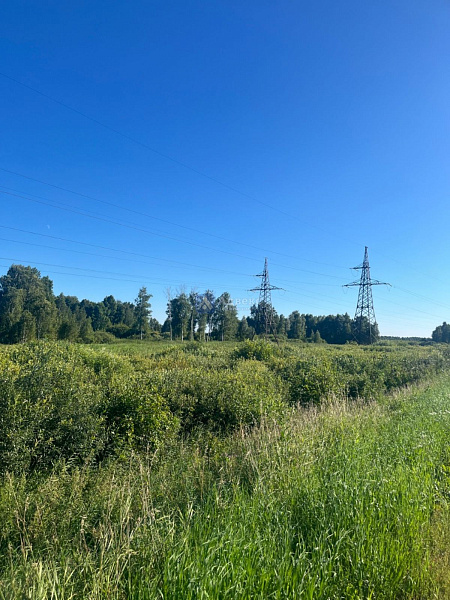 Участок, 5 сот.