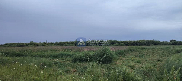 Участок 7 сот.