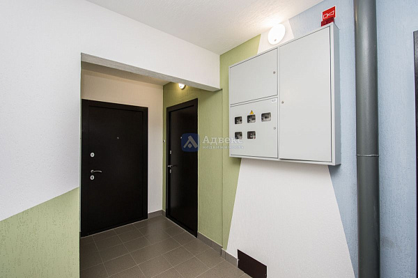 Квартира 1-комн., 35.5 м²